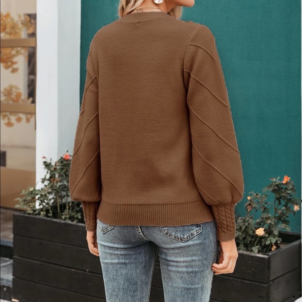 Brown  Pom Pom Sweater - Picture 2 of 5